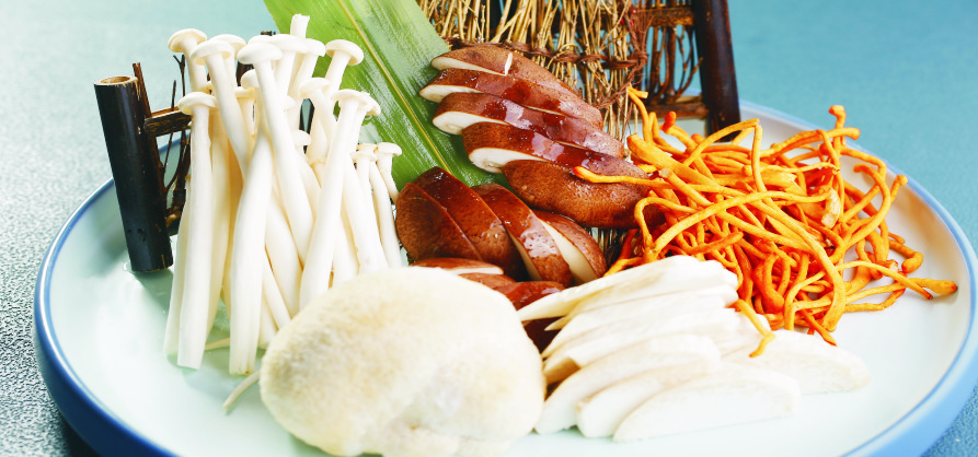 黄油烧杂菌